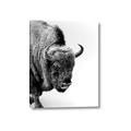 Picture of Buffalo Bill _GroupedProduct_Rectangle_Portrait_Photography _GroupedProduct_Rectangle_Portrait_Canvas_
