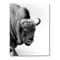 Picture of Buffalo Bill _GroupedProduct_Rectangle_Portrait_Photography _GroupedProduct_Rectangle_Portrait_Canvas_