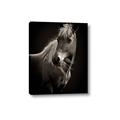 Picture of Ebony, the Horse _GroupedProduct_Rectangle_Portrait_Photography _GroupedProduct_Rectangle_Portrait_Canvas_