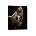 Picture of Ebony, the Horse _GroupedProduct_Rectangle_Portrait_Photography _GroupedProduct_Rectangle_Portrait_Canvas_