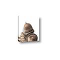 Picture of Fallen Acorns _GroupedProduct_Rectangle_Portrait_Photography _GroupedProduct_Rectangle_Portrait_Canvas_