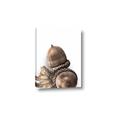 Picture of Fallen Acorns _GroupedProduct_Rectangle_Portrait_Photography _GroupedProduct_Rectangle_Portrait_Canvas_