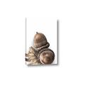 Picture of Fallen Acorns _GroupedProduct_Rectangle_Portrait_Photography _GroupedProduct_Rectangle_Portrait_Canvas_
