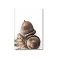 Picture of Fallen Acorns _GroupedProduct_Rectangle_Portrait_Photography _GroupedProduct_Rectangle_Portrait_Canvas_
