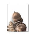 Picture of Fallen Acorns _GroupedProduct_Rectangle_Portrait_Photography _GroupedProduct_Rectangle_Portrait_Canvas_