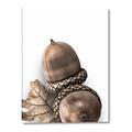 Picture of Fallen Acorns _GroupedProduct_Rectangle_Portrait_Photography _GroupedProduct_Rectangle_Portrait_Canvas_