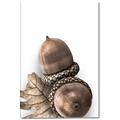 Picture of Fallen Acorns _GroupedProduct_Rectangle_Portrait_Photography _GroupedProduct_Rectangle_Portrait_Canvas_