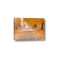 Picture of Falling Leaves  _GroupedProduct_Rectangle_Landscape_Photography _GroupedProduct_Rectangle_Landscape_Canvas_