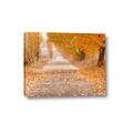 Picture of Falling Leaves  _GroupedProduct_Rectangle_Landscape_Photography _GroupedProduct_Rectangle_Landscape_Canvas_