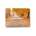 Picture of Falling Leaves  _GroupedProduct_Rectangle_Landscape_Photography _GroupedProduct_Rectangle_Landscape_Canvas_
