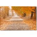 Picture of Falling Leaves  _GroupedProduct_Rectangle_Landscape_Photography _GroupedProduct_Rectangle_Landscape_Canvas_