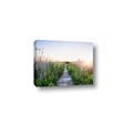 Picture of Field of Dreams   _GroupedProduct_Rectangle_Landscape_Photography _GroupedProduct_Rectangle_Landscape_Canvas_