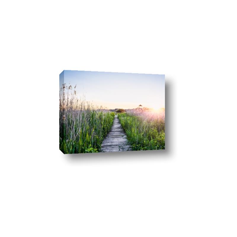 Picture of Field of Dreams   _GroupedProduct_Rectangle_Landscape_Photography _GroupedProduct_Rectangle_Landscape_Canvas_