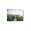 Picture of Field of Dreams   _GroupedProduct_Rectangle_Landscape_Photography _GroupedProduct_Rectangle_Landscape_Canvas_