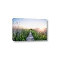 Picture of Field of Dreams   _GroupedProduct_Rectangle_Landscape_Photography _GroupedProduct_Rectangle_Landscape_Canvas_