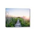 Picture of Field of Dreams   _GroupedProduct_Rectangle_Landscape_Photography _GroupedProduct_Rectangle_Landscape_Canvas_