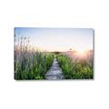 Picture of Field of Dreams   _GroupedProduct_Rectangle_Landscape_Photography _GroupedProduct_Rectangle_Landscape_Canvas_