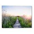 Picture of Field of Dreams   _GroupedProduct_Rectangle_Landscape_Photography _GroupedProduct_Rectangle_Landscape_Canvas_
