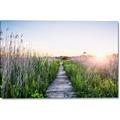 Picture of Field of Dreams   _GroupedProduct_Rectangle_Landscape_Photography _GroupedProduct_Rectangle_Landscape_Canvas_