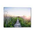 Picture of Field of Dreams   _GroupedProduct_Rectangle_Landscape_Photography _GroupedProduct_Rectangle_Landscape_Canvas_