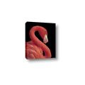 Picture of Flamingo Flame _GroupedProduct_Rectangle_Portrait_Photography _GroupedProduct_Rectangle_Portrait_Canvas_