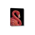 Picture of Flamingo Flame _GroupedProduct_Rectangle_Portrait_Photography _GroupedProduct_Rectangle_Portrait_Canvas_
