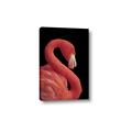 Picture of Flamingo Flame _GroupedProduct_Rectangle_Portrait_Photography _GroupedProduct_Rectangle_Portrait_Canvas_