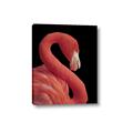 Picture of Flamingo Flame _GroupedProduct_Rectangle_Portrait_Photography _GroupedProduct_Rectangle_Portrait_Canvas_