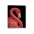 Picture of Flamingo Flame _GroupedProduct_Rectangle_Portrait_Photography _GroupedProduct_Rectangle_Portrait_Canvas_