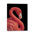 Picture of Flamingo Flame _GroupedProduct_Rectangle_Portrait_Photography _GroupedProduct_Rectangle_Portrait_Canvas_