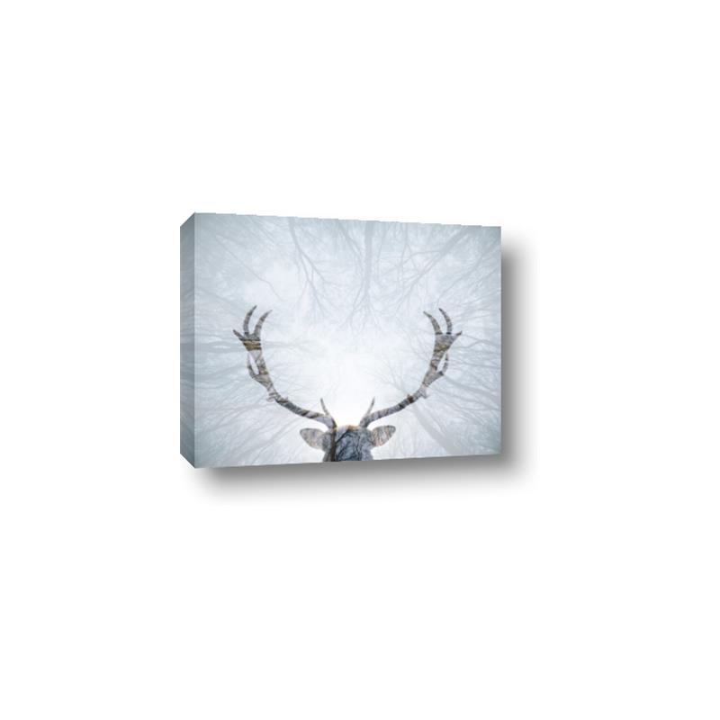 Picture of Forest Stag _GroupedProduct_Rectangle_Landscape_Photography _GroupedProduct_Rectangle_Landscape_Canvas_