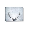 Picture of Forest Stag _GroupedProduct_Rectangle_Landscape_Photography _GroupedProduct_Rectangle_Landscape_Canvas_