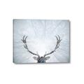 Picture of Forest Stag _GroupedProduct_Rectangle_Landscape_Photography _GroupedProduct_Rectangle_Landscape_Canvas_