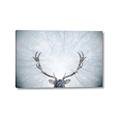 Picture of Forest Stag _GroupedProduct_Rectangle_Landscape_Photography _GroupedProduct_Rectangle_Landscape_Canvas_