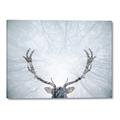 Picture of Forest Stag _GroupedProduct_Rectangle_Landscape_Photography _GroupedProduct_Rectangle_Landscape_Canvas_