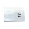 Picture of Frozen Lake _GroupedProduct_Rectangle_Landscape_Photography _GroupedProduct_Rectangle_Landscape_Canvas_