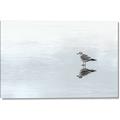 Picture of Frozen Lake _GroupedProduct_Rectangle_Landscape_Photography _GroupedProduct_Rectangle_Landscape_Canvas_
