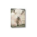 Picture of Furry Cow _GroupedProduct_Rectangle_Portrait_Photography _GroupedProduct_Rectangle_Portrait_Canvas_