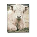 Picture of Furry Cow _GroupedProduct_Rectangle_Portrait_Photography _GroupedProduct_Rectangle_Portrait_Canvas_