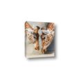Picture of Giraffe Pals  _GroupedProduct_Rectangle_Portrait_Photography _GroupedProduct_Rectangle_Portrait_Canvas_