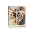 Picture of Giraffe Pals  _GroupedProduct_Rectangle_Portrait_Photography _GroupedProduct_Rectangle_Portrait_Canvas_