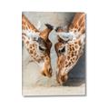 Picture of Giraffe Pals  _GroupedProduct_Rectangle_Portrait_Photography _GroupedProduct_Rectangle_Portrait_Canvas_