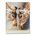 Picture of Giraffe Pals  _GroupedProduct_Rectangle_Portrait_Photography _GroupedProduct_Rectangle_Portrait_Canvas_