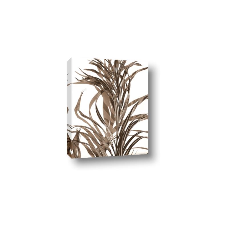 Picture of Grass _GroupedProduct_Rectangle_Portrait_Photography _GroupedProduct_Rectangle_Portrait_Canvas_