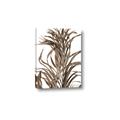 Picture of Grass _GroupedProduct_Rectangle_Portrait_Photography _GroupedProduct_Rectangle_Portrait_Canvas_