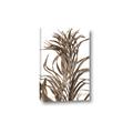 Picture of Grass _GroupedProduct_Rectangle_Portrait_Photography _GroupedProduct_Rectangle_Portrait_Canvas_