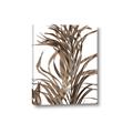Picture of Grass _GroupedProduct_Rectangle_Portrait_Photography _GroupedProduct_Rectangle_Portrait_Canvas_