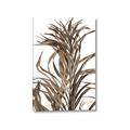 Picture of Grass _GroupedProduct_Rectangle_Portrait_Photography _GroupedProduct_Rectangle_Portrait_Canvas_