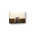 Picture of Grazing Sheep  _GroupedProduct_Rectangle_Landscape_Photography _GroupedProduct_Rectangle_Landscape_Canvas_