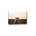 Picture of Grazing Sheep  _GroupedProduct_Rectangle_Landscape_Photography _GroupedProduct_Rectangle_Landscape_Canvas_